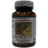 Virus Vanquisher!